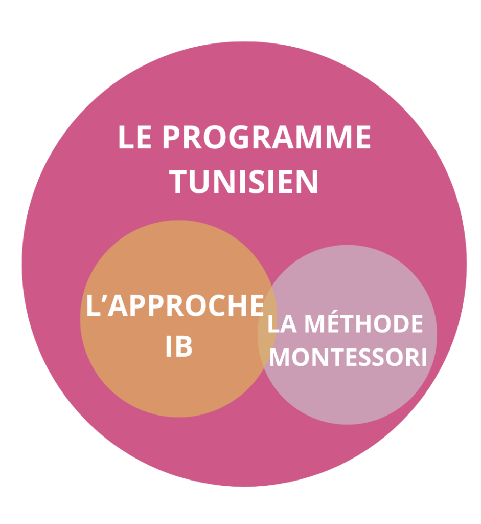 Les écoles idéales